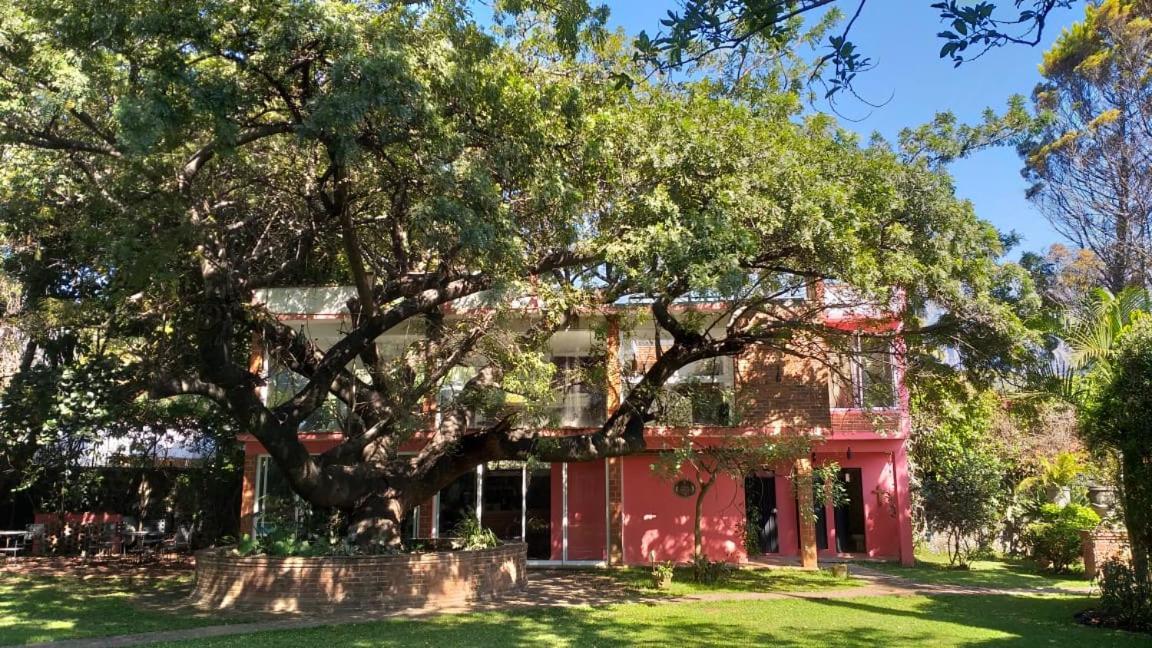 Casa Amor Tepoztlán Kültér fotó