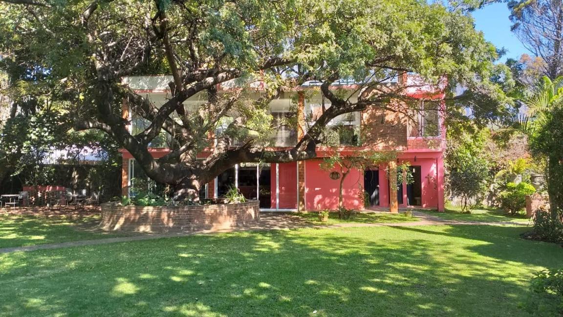 Casa Amor Tepoztlán Kültér fotó